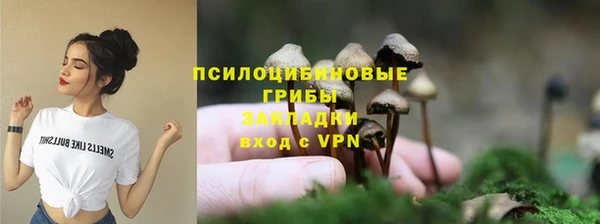бошки Абаза