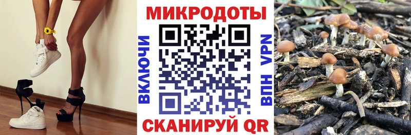 Галлюциногенные грибы Magic Shrooms  Бугуруслан 